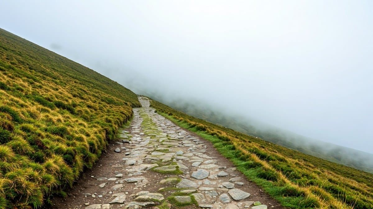 A winding mountain path disappearing into thick fog, symbolizing the challenges and unknowns in the journey of learning.