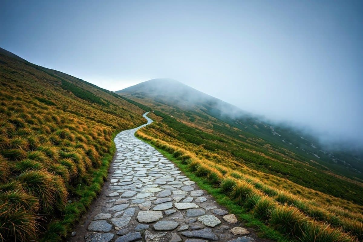A winding path leading into fog, with sunlight revealing a peak, symbolizing perseverance through challenges.